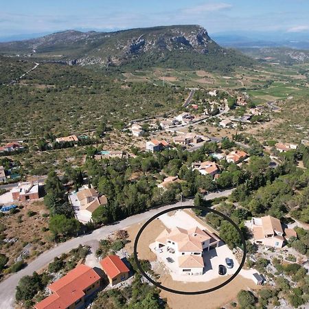 Trois Appartements Au Sein Du Mas Jams - Le Gouleyrous, Le Canigou Et Le Figarassa Vingrau Exterior foto